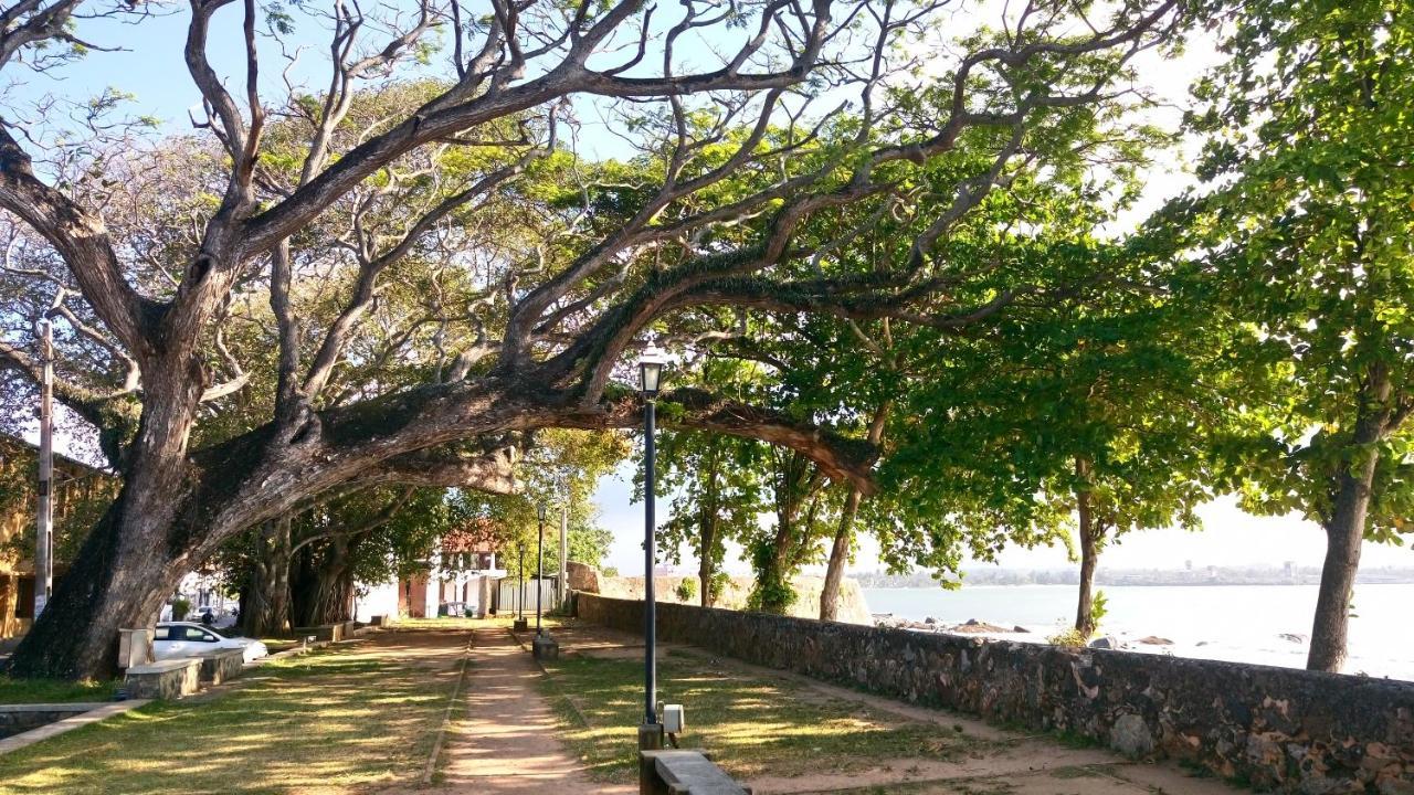 Oesis - Stylish Villa Steps From Historic Galle Fort מראה חיצוני תמונה